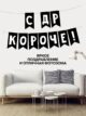 Гирлянда с Днем рождения бумажная растяжка С Др Короче!