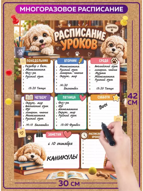 Многоразовое расписание уроков 30×42 см Мальтипу, школьный планер пиши-стирай